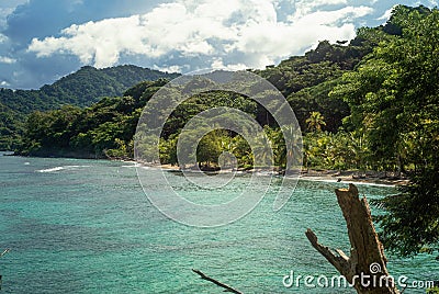Tropical beach and deep jungle of Darien in sapzurro, Colombia. Stock Photo