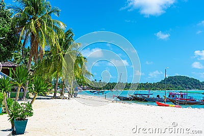 Tropical beach landscape. Perfect white sand, green palm trees and blue water. Travel and relaxation in the tropics Stock Photo