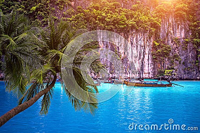 Tropical beach and long boat with palm trees in Phi Phi Island, Krabi Thailand Editorial Stock Photo