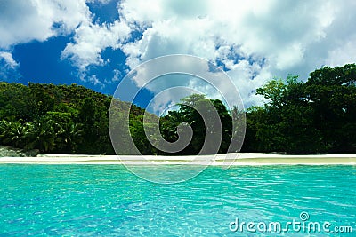Tropical beach luxuriant vegetation palms Stock Photo