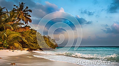 Tropical beach in Maldives.Tropical Paradise at Maldives with palms, sand and blue sky Untouched tropical beach in Maldives.Caribb Stock Photo