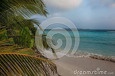 Tropical beach in MaldiveTropical beach in Maldives.Tropical Paradise at Maldives with palms, sand Stock Photo