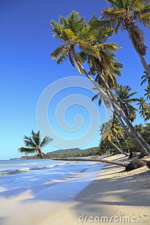 Tropical Beach near Las Galeras village in Samana area, Dominican Republic Stock Photo