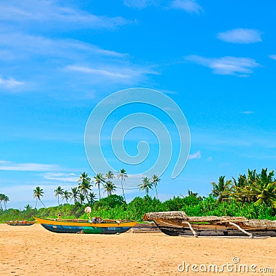 Tropical beach with palm trees and fishing boats in Sri Lanka Stock Photo