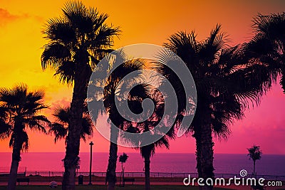 Tropical beach with palm trees at sunset Stock Photo