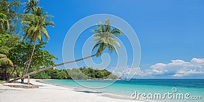 Tropical beach panorama with a leaning palm tree, Bintan island near Singapore Indonesia Stock Photo