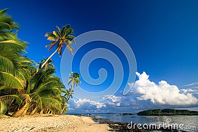 Tropical beach paradise Stock Photo