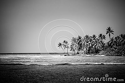 Lovely beach with turquoise water and green palm trees on a tropical island Stock Photo