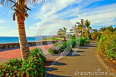 Tropical Beach Promenade Stock Photo