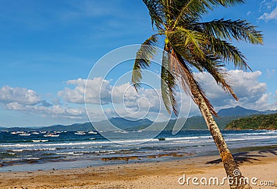 Tropical beach Stock Photo