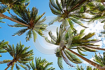 Tropical beach Stock Photo