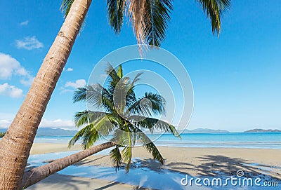 Tropical beach Stock Photo