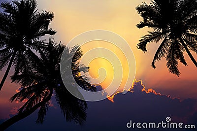 Tropical beach on sunset with silhouette palm trees Stock Photo