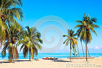 The tropical beach of Varadero in Cuba with sailboats and palm trees on a summer day with turquoise water. Vacation background Stock Photo