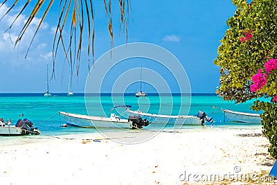 Tropical beach, Venezuela Stock Photo