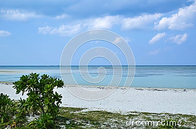 Tropical Beach View Stock Photo