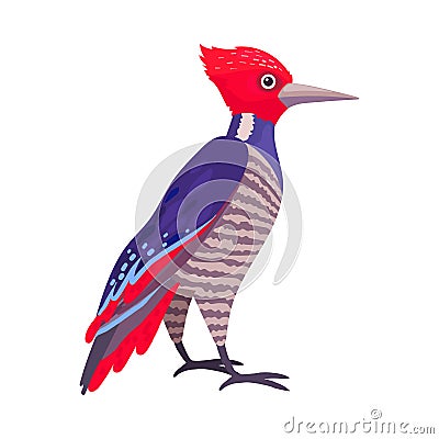 Tropical Bird with Bright Feathers as Warm-blooded Vertebrates or Aves Vector Illustration Vector Illustration