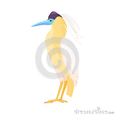 Tropical Bird with Bright Feathers as Warm-blooded Vertebrates or Aves Vector Illustration Vector Illustration
