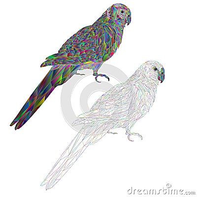 Tropical bird Parrot Sun Conure polygonal multicolored and outline on a white background vector illustration editable hand draw Vector Illustration