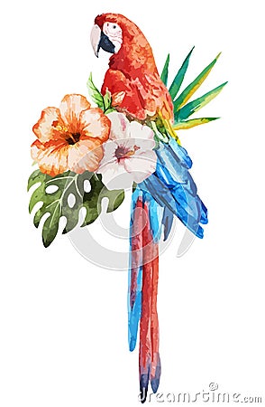 Tropical birds Vector Illustration