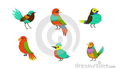 Tropical Birds Collection, Bright Exotic Birds Cartoon Vector Illustration on White Background Vector Illustration