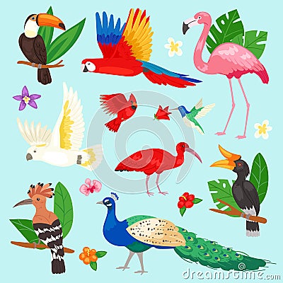 Tropical birds vector exotic parrot or flamingo and peacock with palm leaves illustration set of fashion birdie ibis or Vector Illustration