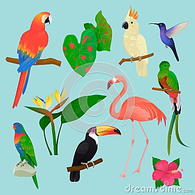 Tropical birds vector flamingo and exotic parrot or hummingbird with palm leaves illustration set of fashion birdie Vector Illustration