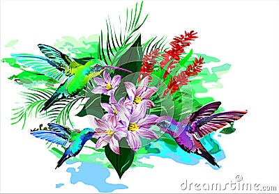 Tropical birds. Vector Vector Illustration