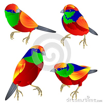 Tropical birds watercolor on a white background vintage set first vector illustration editable hand dra Vector Illustration