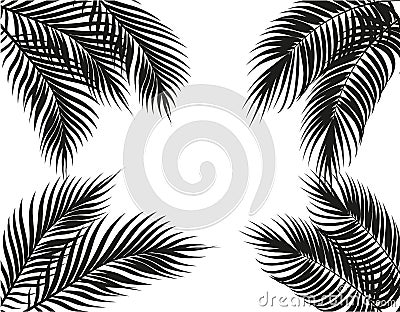 Tropical black and white palm leaves on four sides. Set. Isolated on white background. illustration Vector Illustration