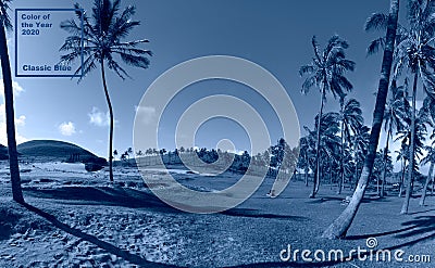 Tropical blue classic background. Palm tree on Easter Island. Color of the year. Coy2020 Editorial Stock Photo