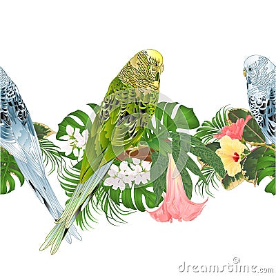 Tropical border seamless background green and blue Budgerigars, pet parakeets and various hibiscus and Brugmansia vector Vector Illustration