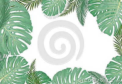 Tropical botanical plants, background with leaves of coconut and banana design card jungle leaf on white background Stock Photo