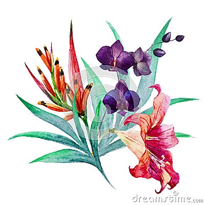 Tropical bouquet Vector Illustration