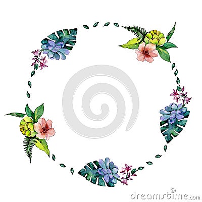 Tropical bouquet flower. Floral botanical flower. Frame border ornament square. Stock Photo