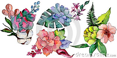 Tropical bouquet flower. Floral botanical flower. Wild spring leaf wildflower isolated. Stock Photo