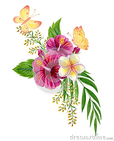 Tropical bouquet. Watercolor painting with pink Chinese Hibiscus rose flowers and butterflies isolated on white background. Floral Stock Photo