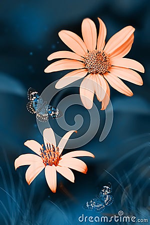 Tropical butterflies and orange bright summer flowers on a background of blue foliage in a fairy garden. Stock Photo