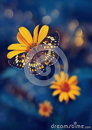 Tropical butterfly and yellow bright summer flowers on a background of blue foliage in a fairy garden. Macro artistic image. Stock Photo