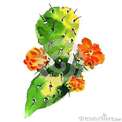 Tropical cactus tree in a watercolor style isolated. Stock Photo