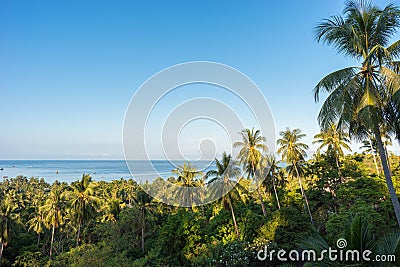 Tropical calm landscape with palms. High angle view on sea horizon, clear blue sky Stock Photo