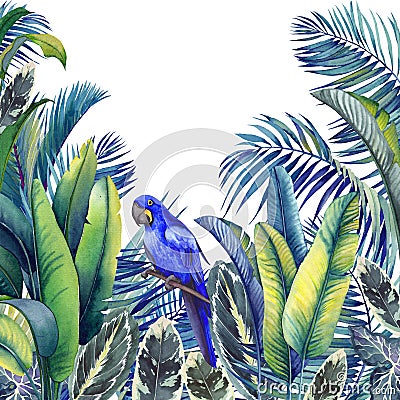 Tropical card with blue macaw parrot, palm trees, banana and calathea leaves. Cartoon Illustration