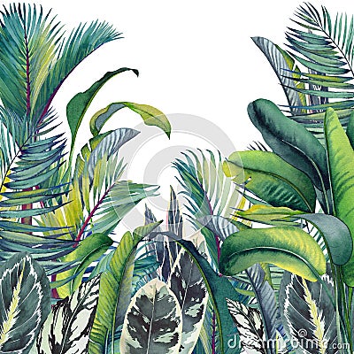 Tropical card with palm trees, banana and calathea leaves. Cartoon Illustration