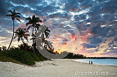 Tropical Caribbean Sand Beach Paradise at Sunset Stock Photo