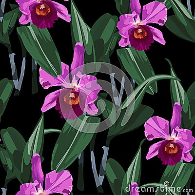 Tropical Cattleya orchid flowers on black background. Seamless pattern. Jungle foliage illustration. Vector Illustration