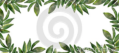 Tropical climbing plants. Watercolor openwork frame, vine branches isolated on white background. Hand painted green leaves, Stock Photo