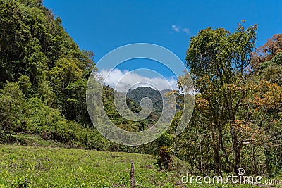 Tropical cloud forest in Baru Volcano National Park, Panama Stock Photo