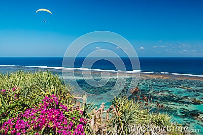 Tropical coast and blue ocean with paraglider in tropical island. Pink flowers and palms at shoreline Stock Photo