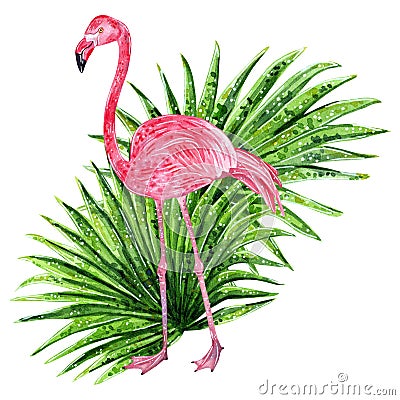 Tropical collage with leaves and pink flamingo Cartoon Illustration