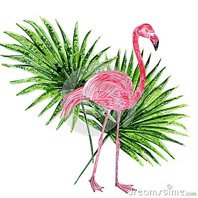 Tropical collage with leaves and pink flamingo Cartoon Illustration